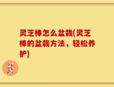 灵芝棒怎么盆栽(灵芝棒的盆栽方法，轻松养护)
