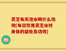 灵芝每天泡水喝什么功效(每日饮用灵芝水对身体的益处及功效)
