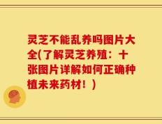 灵芝不能乱养吗图片大全(了解灵芝养殖：十张图片详解如何正确种植未来药材！)
