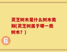 灵芝树木是什么树木类别(灵芝树属于哪一类树木？)