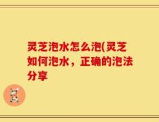 灵芝泡水怎么泡(灵芝如何泡水，正确的泡法分享