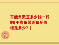 干鹿角灵芝多少钱一斤啊(干鹿角灵芝每斤价格是多少？)