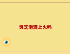 灵芝泡酒上火吗