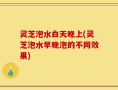 灵芝泡水白天晚上(灵芝泡水早晚泡的不同效果)