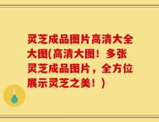 灵芝成品图片高清大全大图(高清大图！多张灵芝成品图片，全方位展示灵芝之美！)