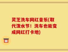 灵芝洗车网红音乐(取代泼水节！洗车也能变成网红打卡地)