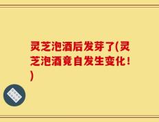 灵芝泡酒后发芽了(灵芝泡酒竟自发生变化！)