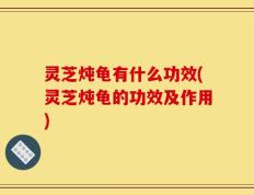 灵芝炖龟有什么功效(灵芝炖龟的功效及作用)
