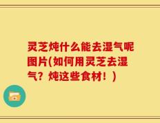 灵芝炖什么能去湿气呢图片(如何用灵芝去湿气？炖这些食材！)