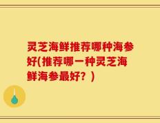灵芝海鲜推荐哪种海参好(推荐哪一种灵芝海鲜海参最好？)