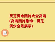 灵芝煲水图片大全高清(高清图片集锦：灵芝煲水全景展示)