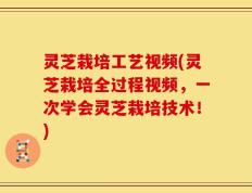 灵芝栽培工艺视频(灵芝栽培全过程视频，一次学会灵芝栽培技术！)