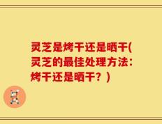 灵芝是烤干还是晒干(灵芝的最佳处理方法：烤干还是晒干？)