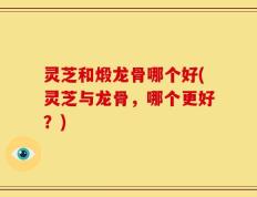 灵芝和煅龙骨哪个好(灵芝与龙骨，哪个更好？)