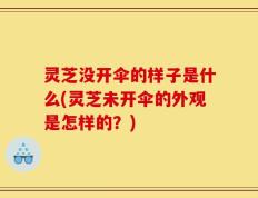 灵芝没开伞的样子是什么(灵芝未开伞的外观是怎样的？)