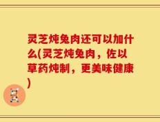 灵芝炖兔肉还可以加什么(灵芝炖兔肉，佐以草药炖制，更美味健康)