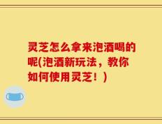 灵芝怎么拿来泡酒喝的呢(泡酒新玩法，教你如何使用灵芝！)