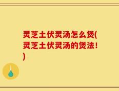 灵芝土伏灵汤怎么煲(灵芝土伏灵汤的煲法！)