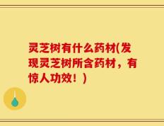 灵芝树有什么药材(发现灵芝树所含药材，有惊人功效！)