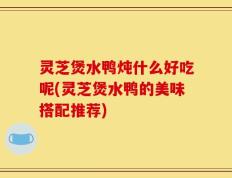 灵芝煲水鸭炖什么好吃呢(灵芝煲水鸭的美味搭配推荐)
