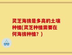 灵芝海拔是多高的土壤种植(灵芝种植需要在何海拔种植？)