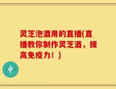 灵芝泡酒用的直播(直播教你制作灵芝酒，提高免疫力！)