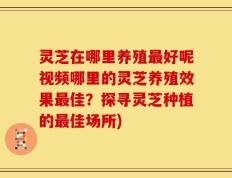 灵芝在哪里养殖最好呢视频哪里的灵芝养殖效果最佳？探寻灵芝种植的最佳场所)