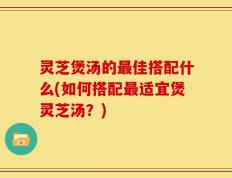 灵芝煲汤的最佳搭配什么(如何搭配最适宜煲灵芝汤？)