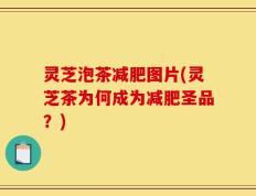 灵芝泡茶减肥图片(灵芝茶为何成为减肥圣品？)
