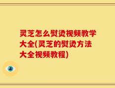 灵芝怎么熨烫视频教学大全(灵芝的熨烫方法大全视频教程)