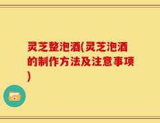 灵芝整泡酒(灵芝泡酒的制作方法及注意事项)