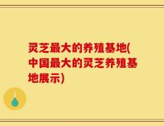 灵芝最大的养殖基地(中国最大的灵芝养殖基地展示)
