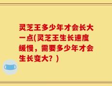 灵芝王多少年才会长大一点(灵芝王生长速度缓慢，需要多少年才会生长变大？)