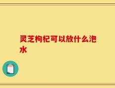 灵芝枸杞可以放什么泡水