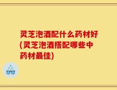 灵芝泡酒配什么药材好(灵芝泡酒搭配哪些中药材最佳)