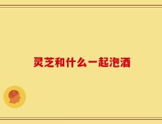 灵芝和什么一起泡酒