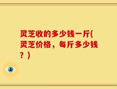 灵芝收的多少钱一斤(灵芝价格，每斤多少钱？)