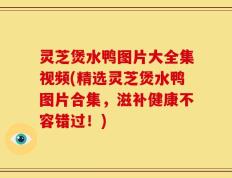 灵芝煲水鸭图片大全集视频(精选灵芝煲水鸭图片合集，滋补健康不容错过！)