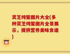 灵芝炖鳖图片大全(多种灵芝炖鳖图片全景展示，提供营养美味食谱)