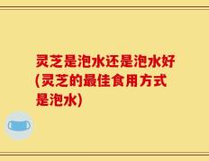 灵芝是泡水还是泡水好(灵芝的最佳食用方式是泡水)