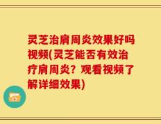 灵芝治肩周炎效果好吗视频(灵芝能否有效治疗肩周炎？观看视频了解详细效果)