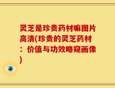 灵芝是珍贵药材嘛图片高清(珍贵的灵芝药材：价值与功效略窥画像)