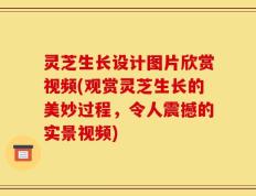 灵芝生长设计图片欣赏视频(观赏灵芝生长的美妙过程，令人震撼的实景视频)