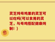 灵芝炖母鸡里的灵芝可以吃吗(可以食用的灵芝，与母鸡搭配健康炖制！)