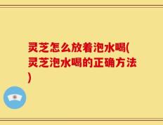 灵芝怎么放着泡水喝(灵芝泡水喝的正确方法)