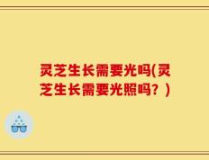 灵芝生长需要光吗(灵芝生长需要光照吗？)