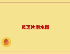 灵芝片泡水图