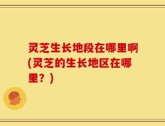 灵芝生长地段在哪里啊(灵芝的生长地区在哪里？)