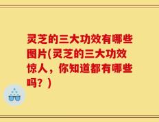 灵芝的三大功效有哪些图片(灵芝的三大功效惊人，你知道都有哪些吗？)