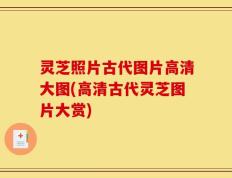 灵芝照片古代图片高清大图(高清古代灵芝图片大赏)